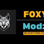 Foxy Modz