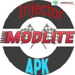 Modlite Injector